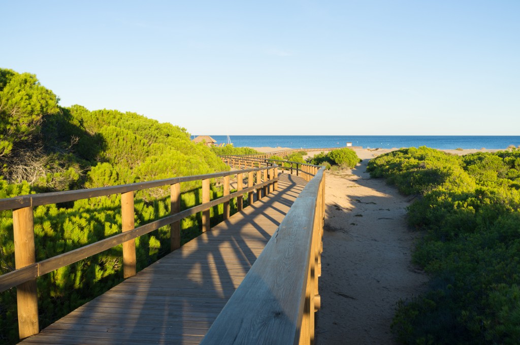 Playa del Carabassi